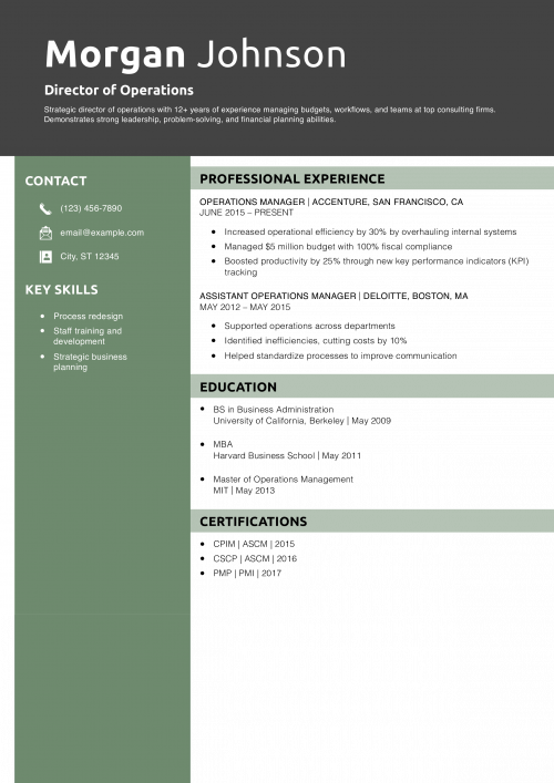 Director of Operations Resume Example