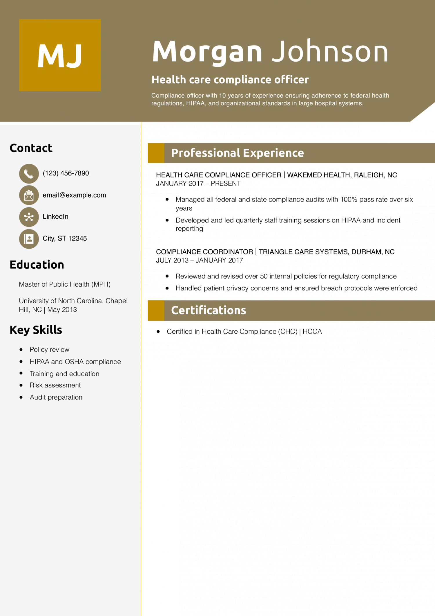 Health care compliance officer resume example