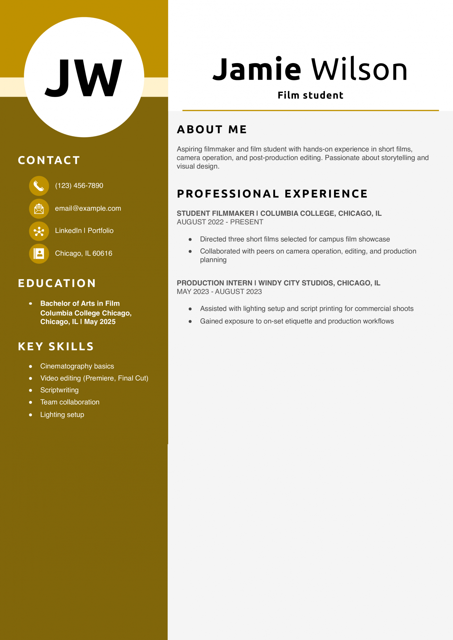 Film student resume example