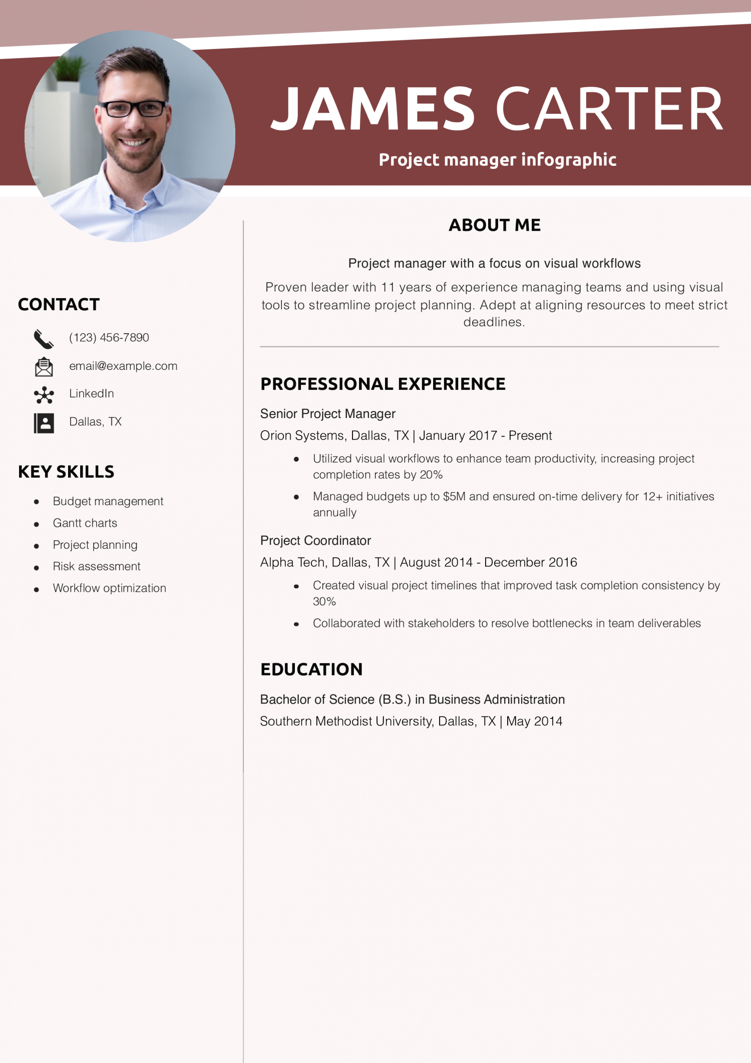 Project manager infographic resume