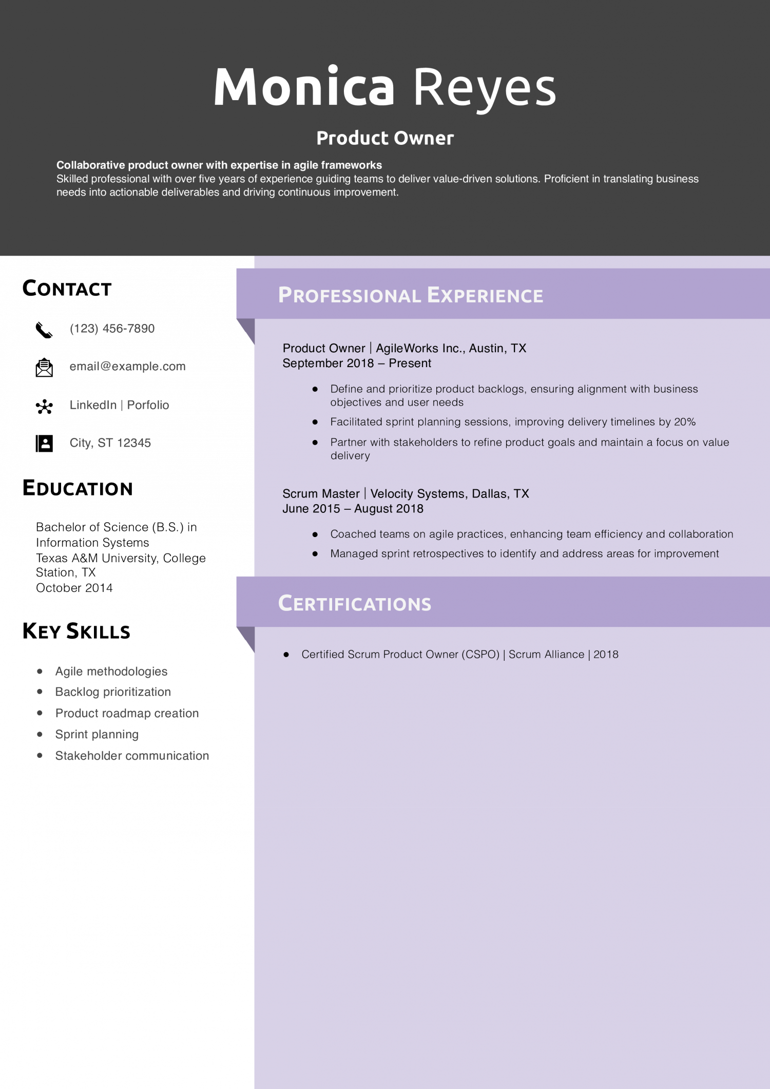 Product Owner Resume Example