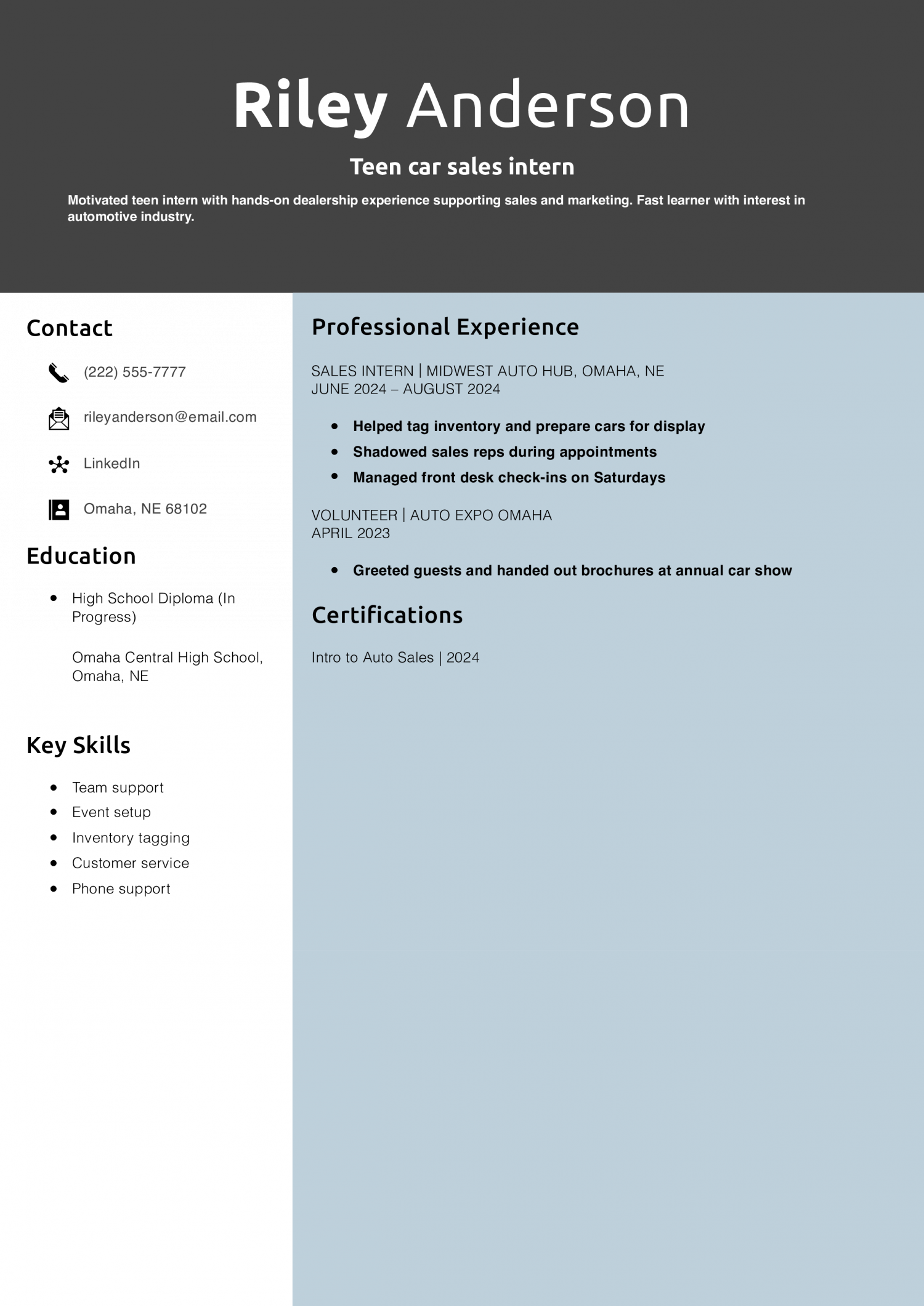 Teen car sales intern resume example