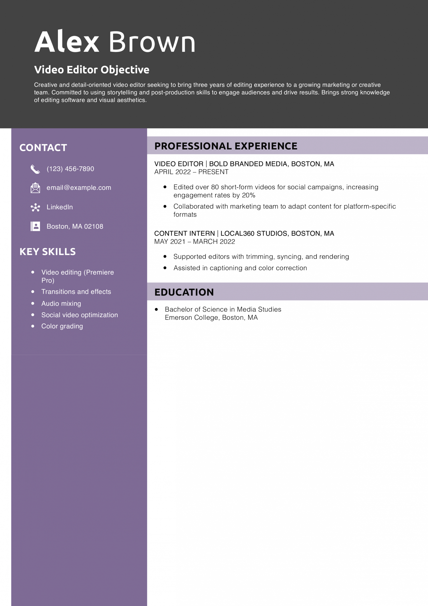Video Editor Objective Resume Example