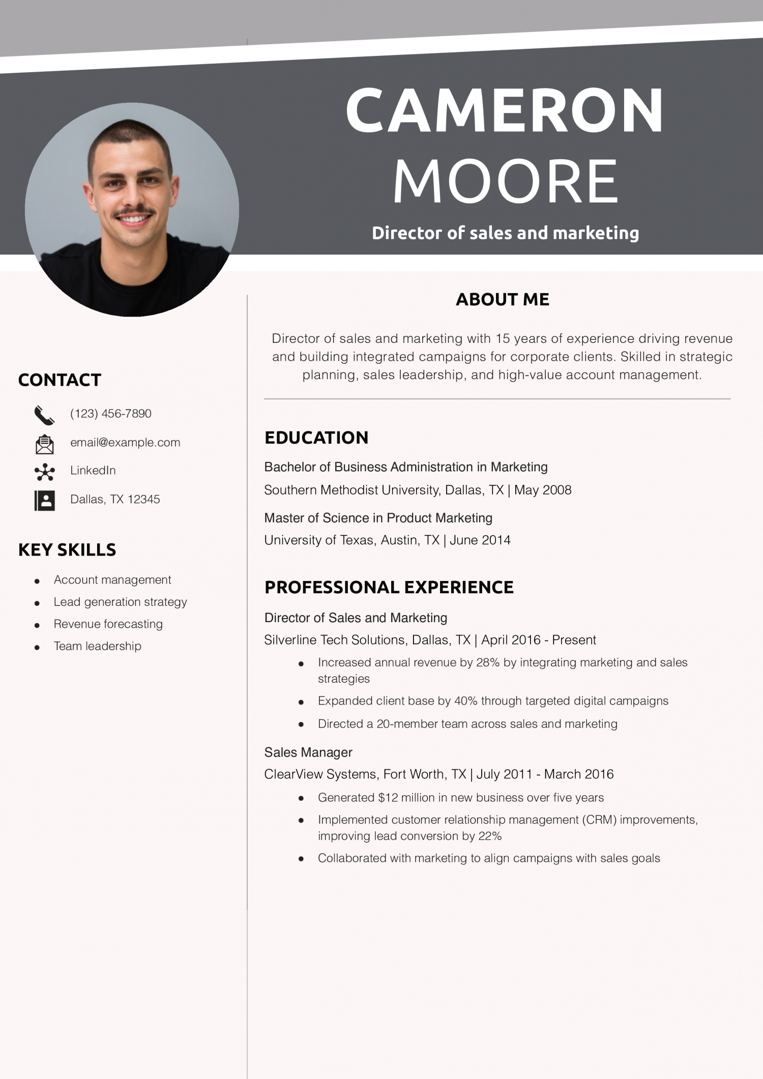 Director of sales and marketing resume example