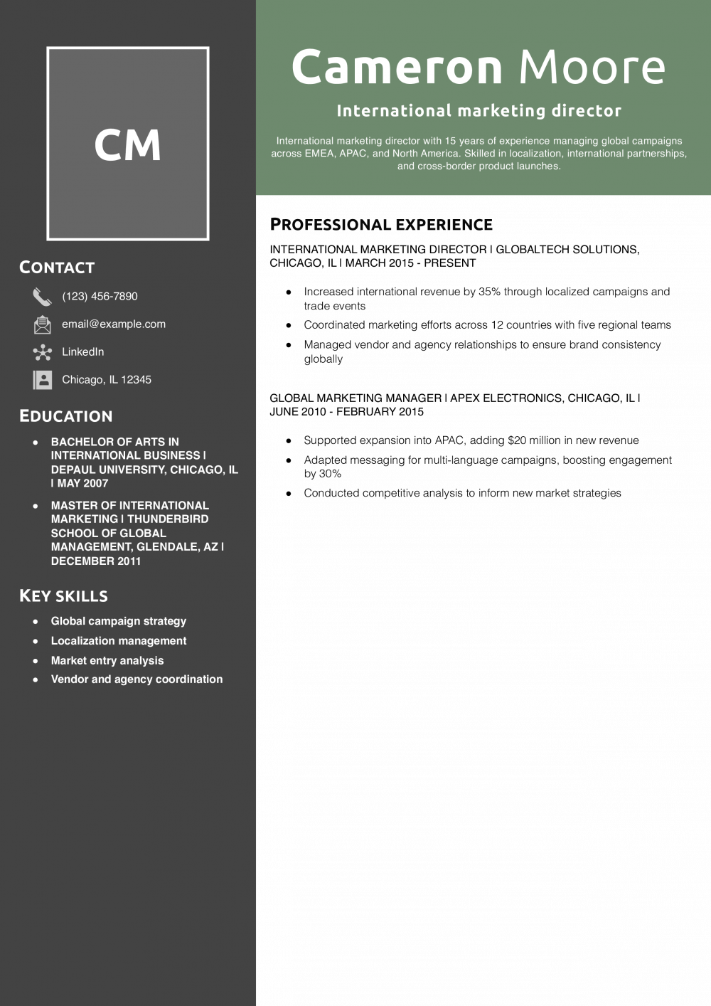 International marketing director resume example