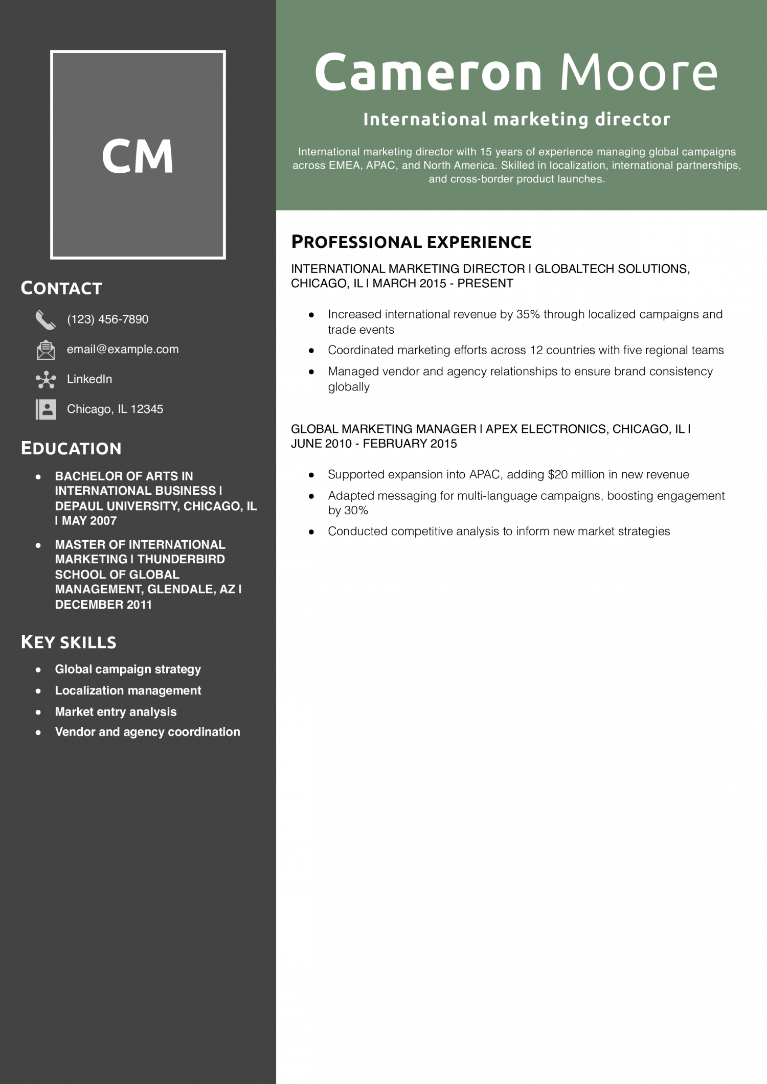 International marketing director resume example