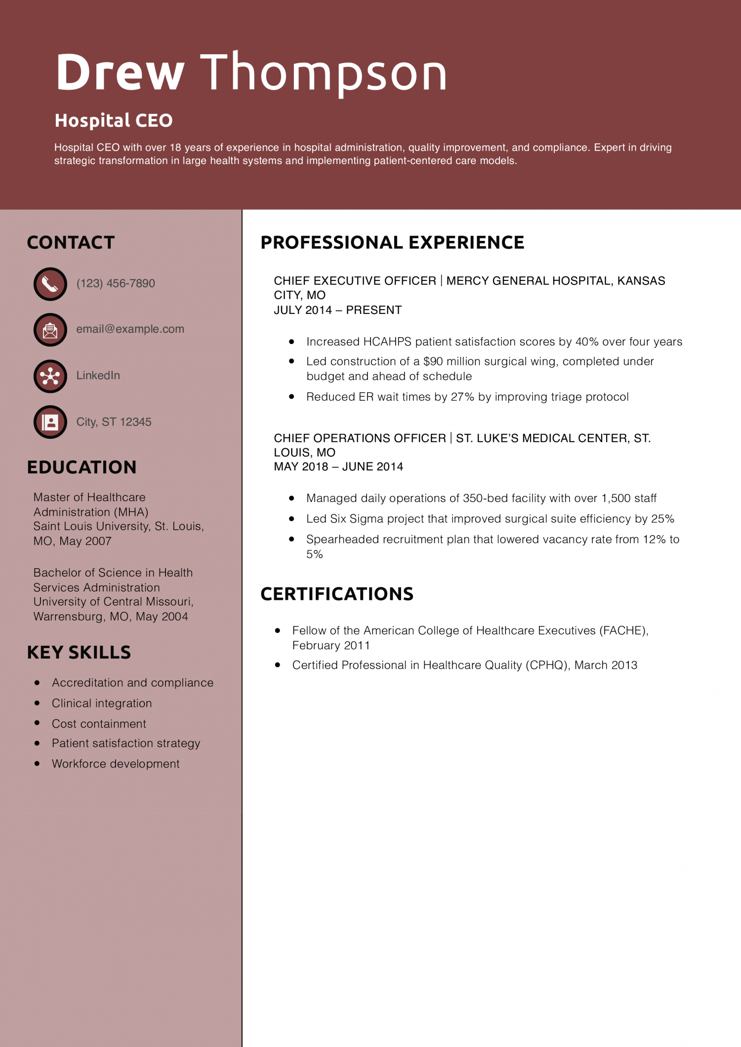 Hospital CEO resume