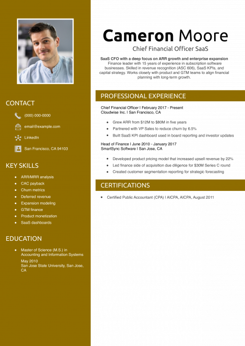 Chief Financial Officer SaaS Resume
