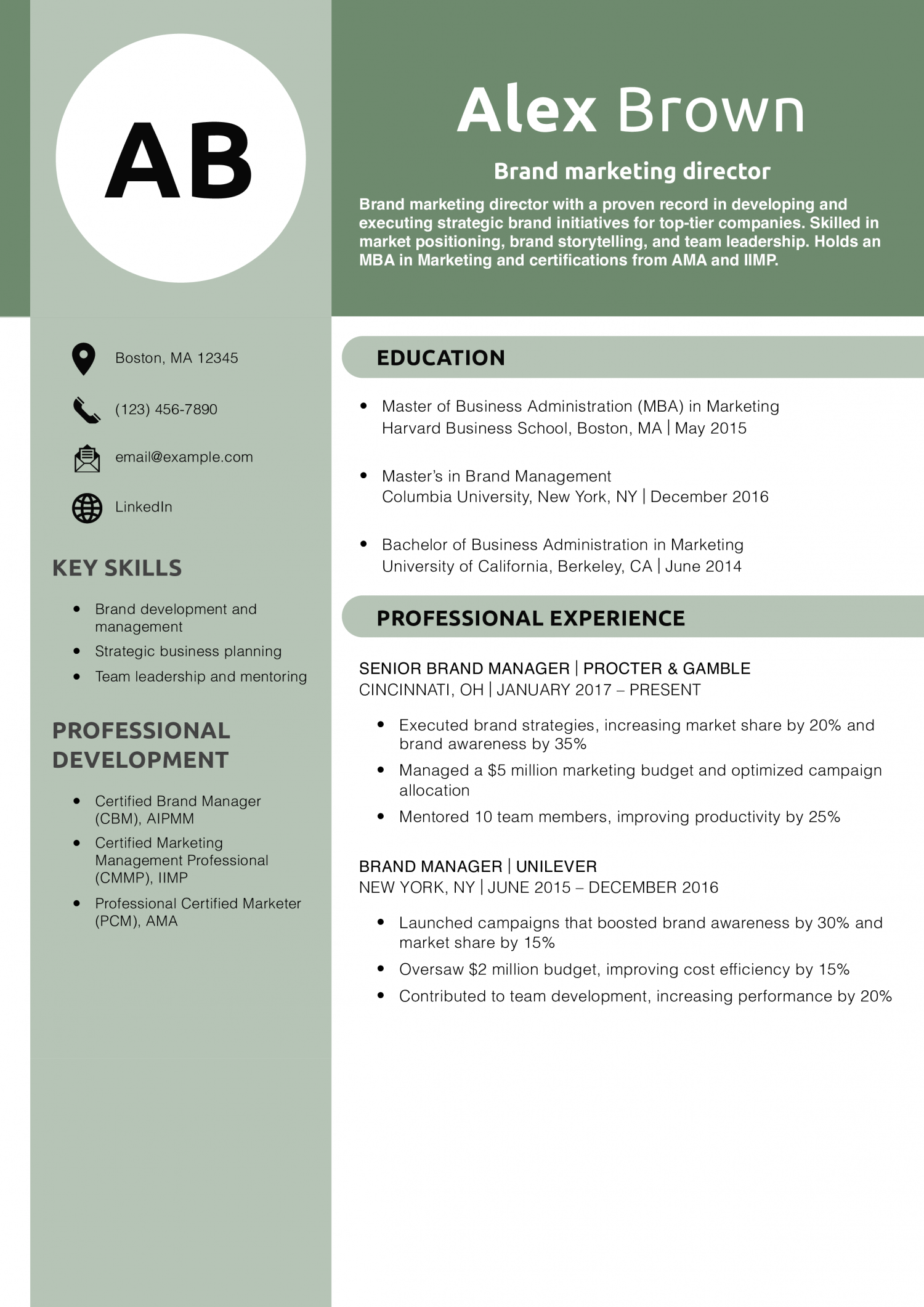 Brand marketing director resume example