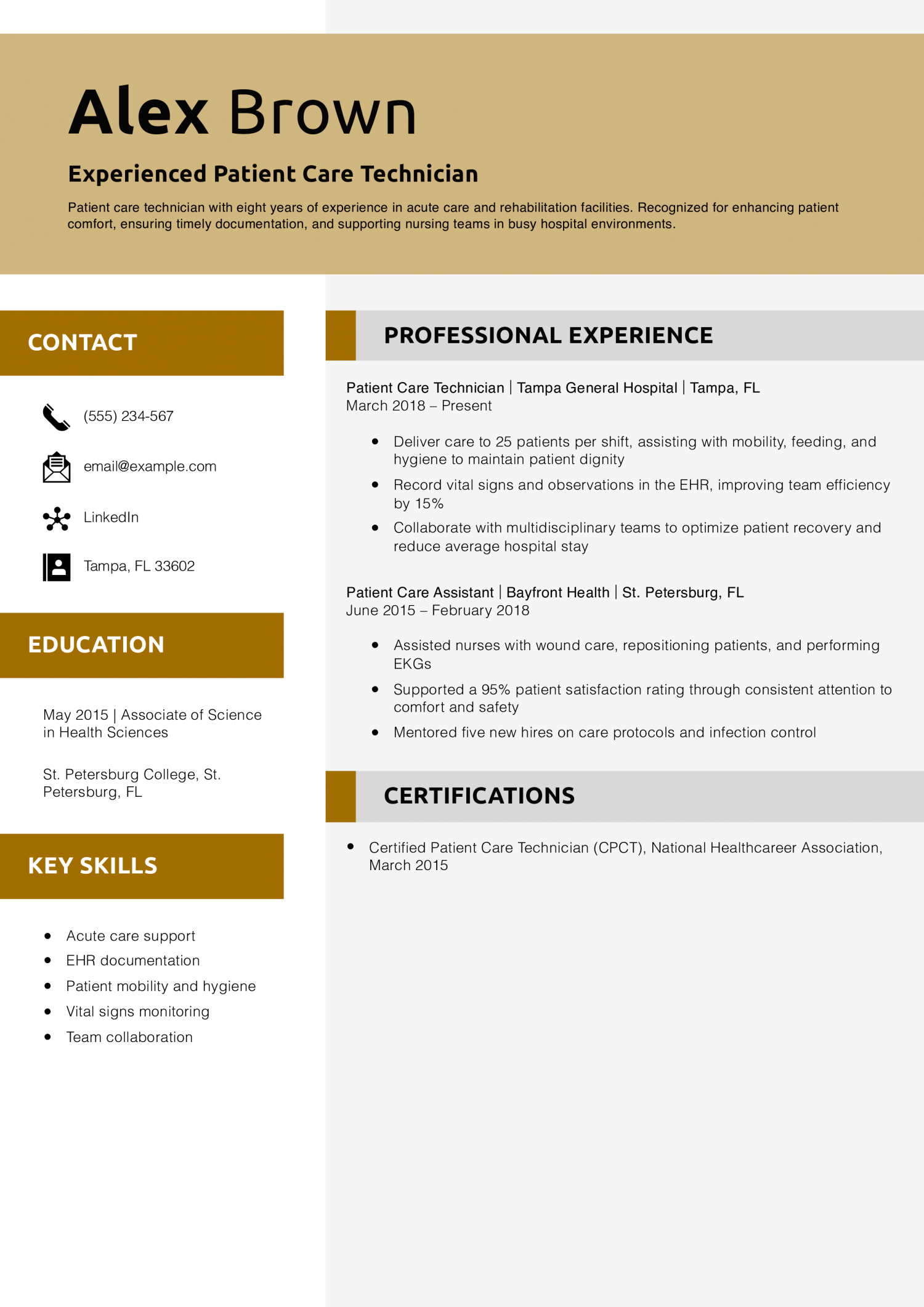 Experienced Patient Care Technician Resume Example