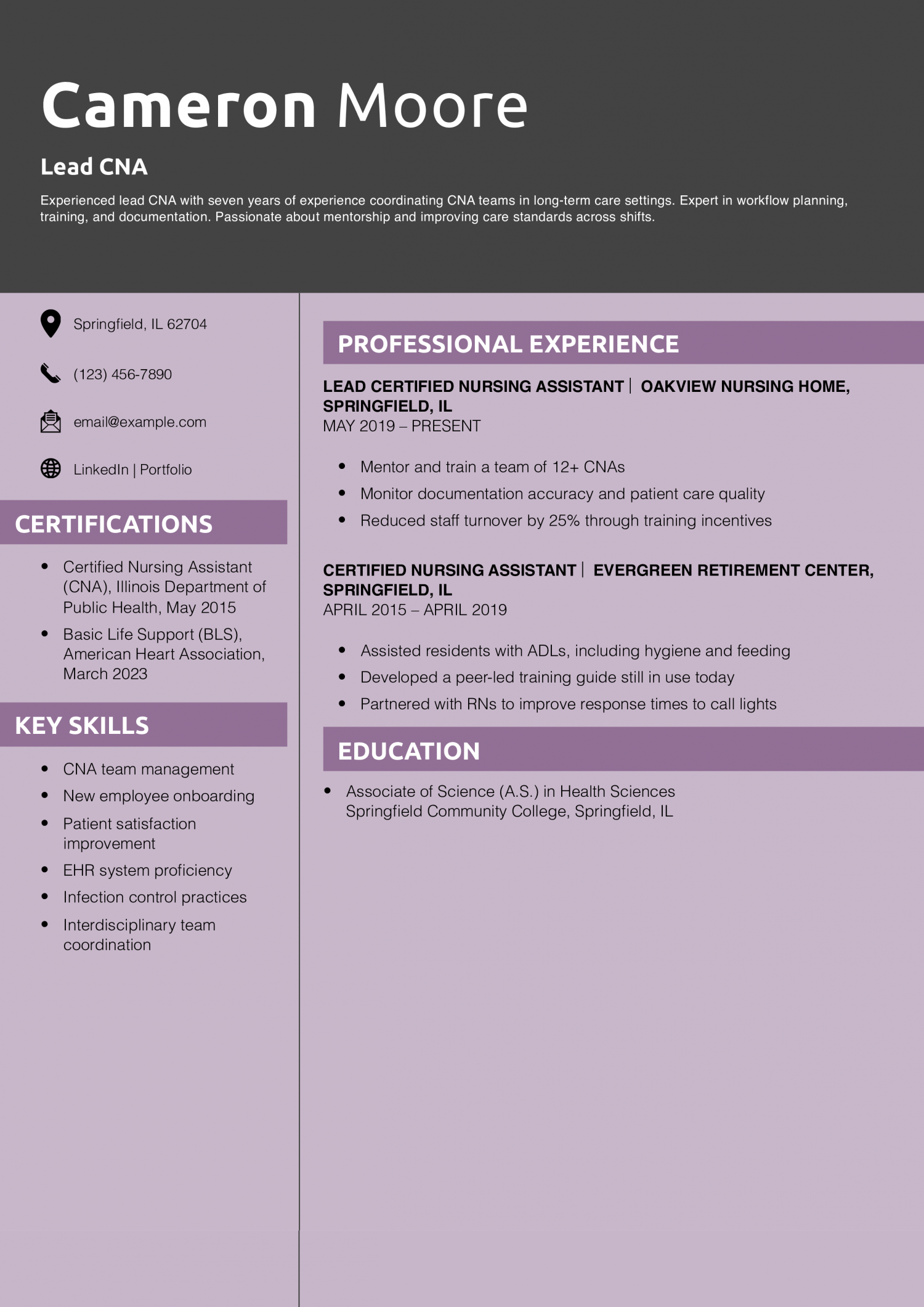 Lead CNA Resume Example