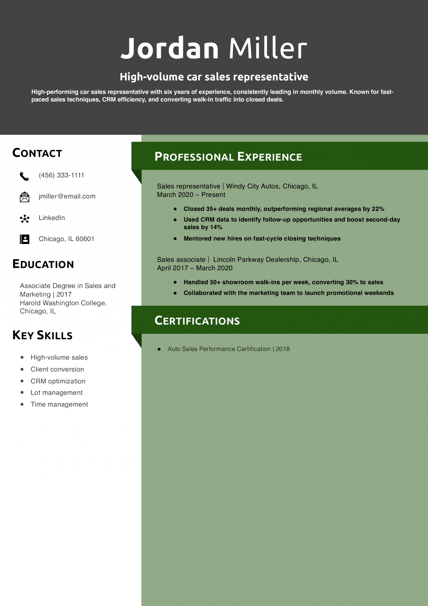 High-volume car sales representative resume example