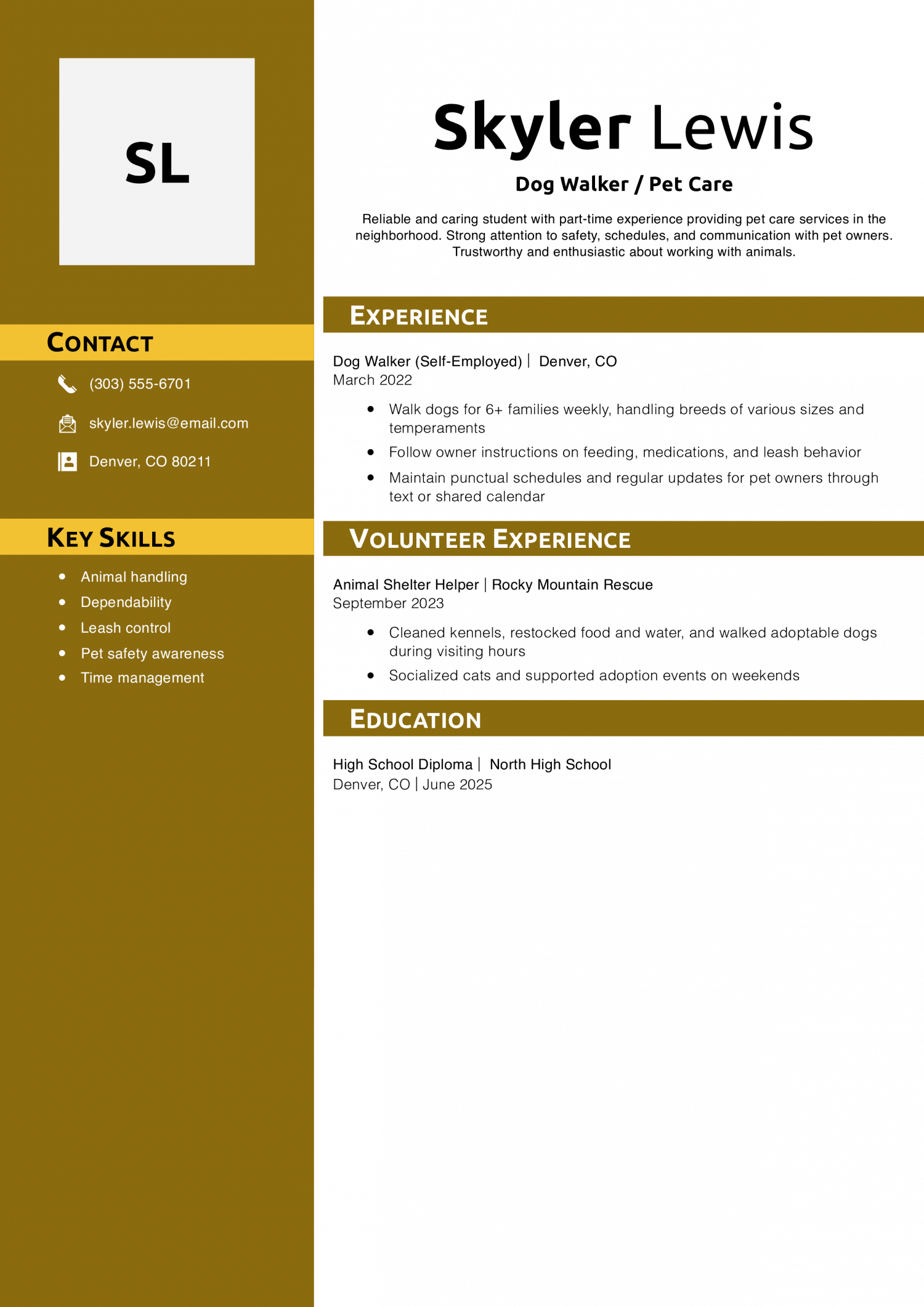 Teenager Resume Example – Dog Walker / Pet Care