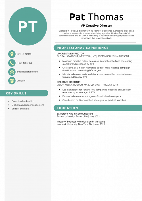 VP Creative Director Resume Example