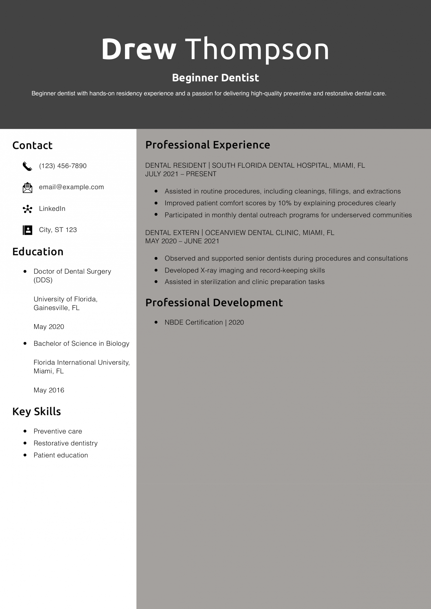 Beginner Dentist Resume Example