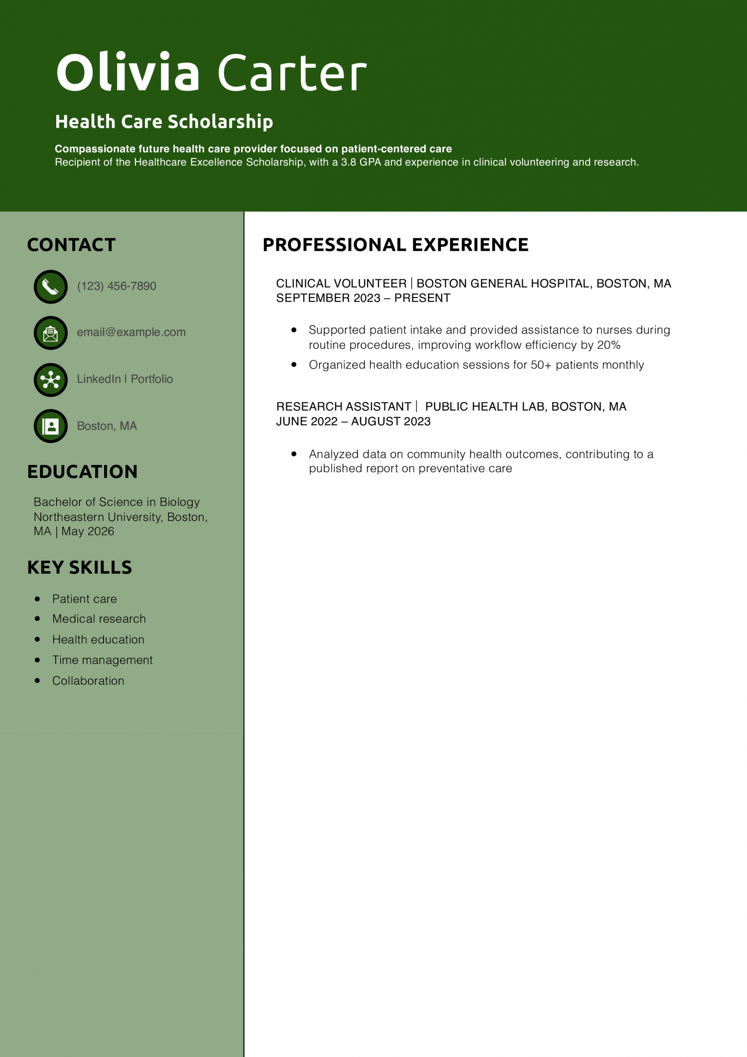 Health Care Scholarship Resume