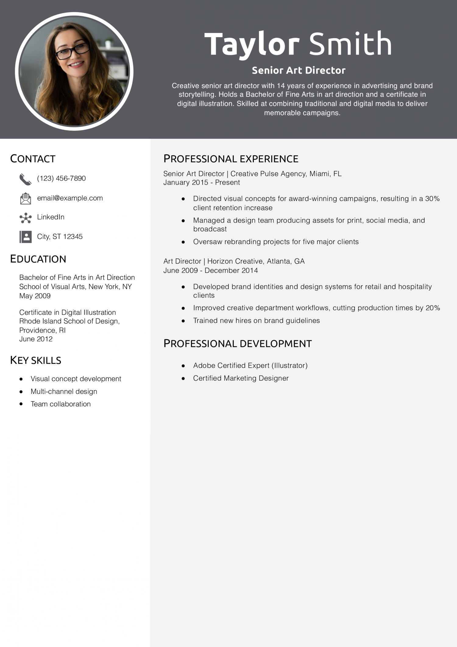 Senior Art Director Resume Example