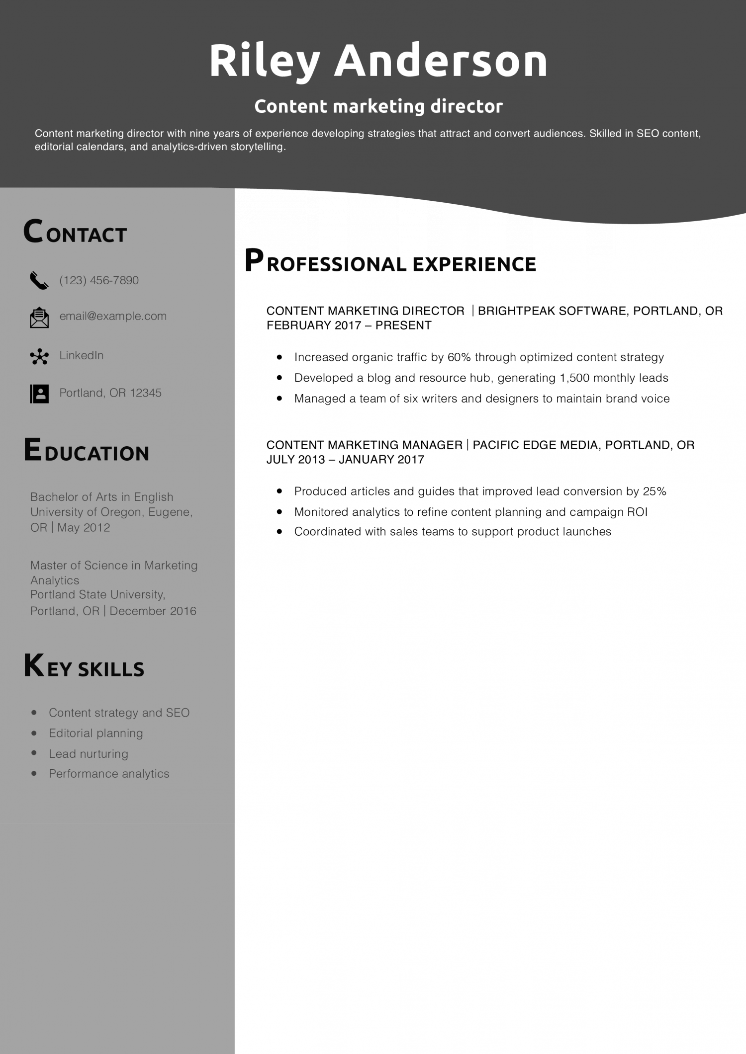 Content marketing director resume example