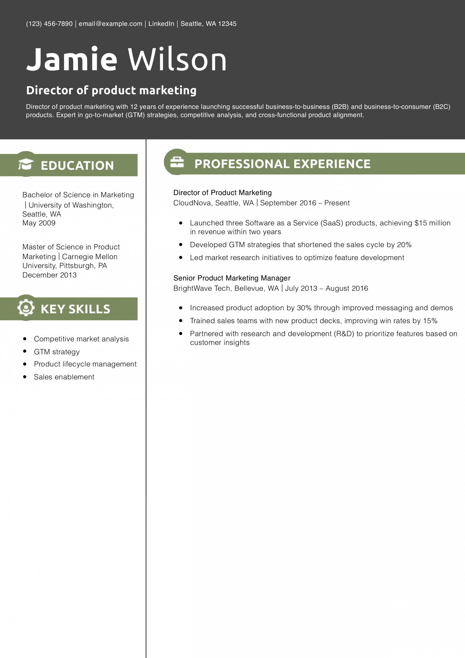 Director of product marketing resume example