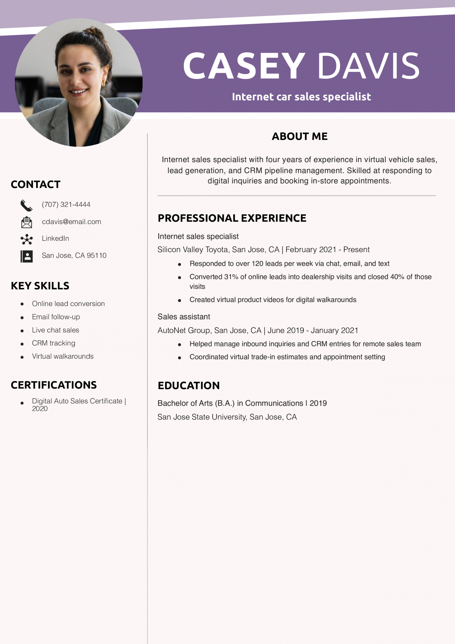 Internet car sales specialist resume example