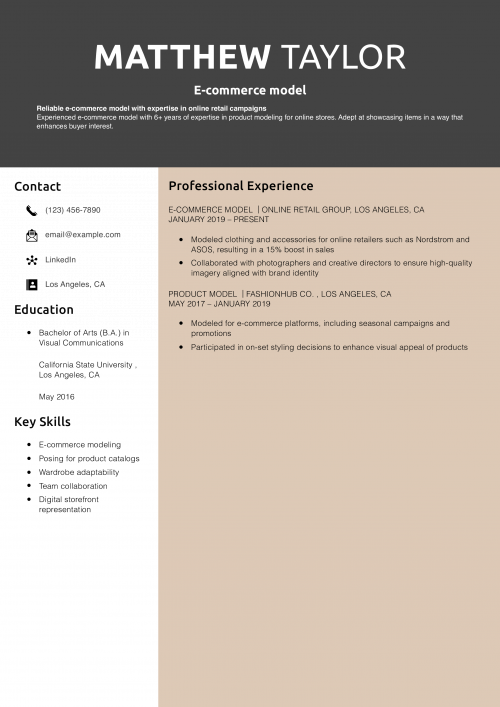 E-commerce model resume