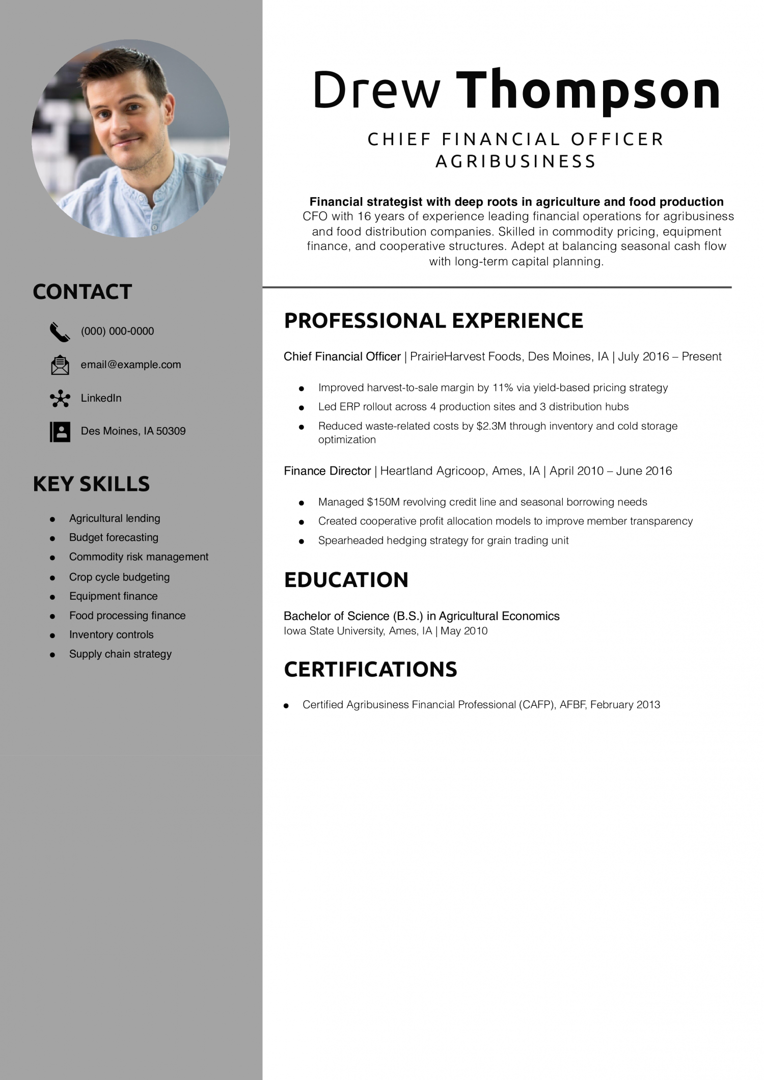 Chief Financial Officer Agribusiness Resume