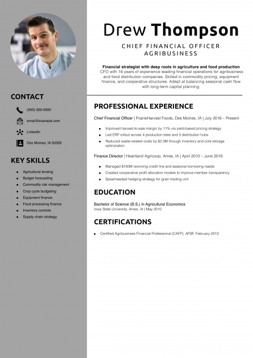 Chief Financial Officer Agribusiness Resume