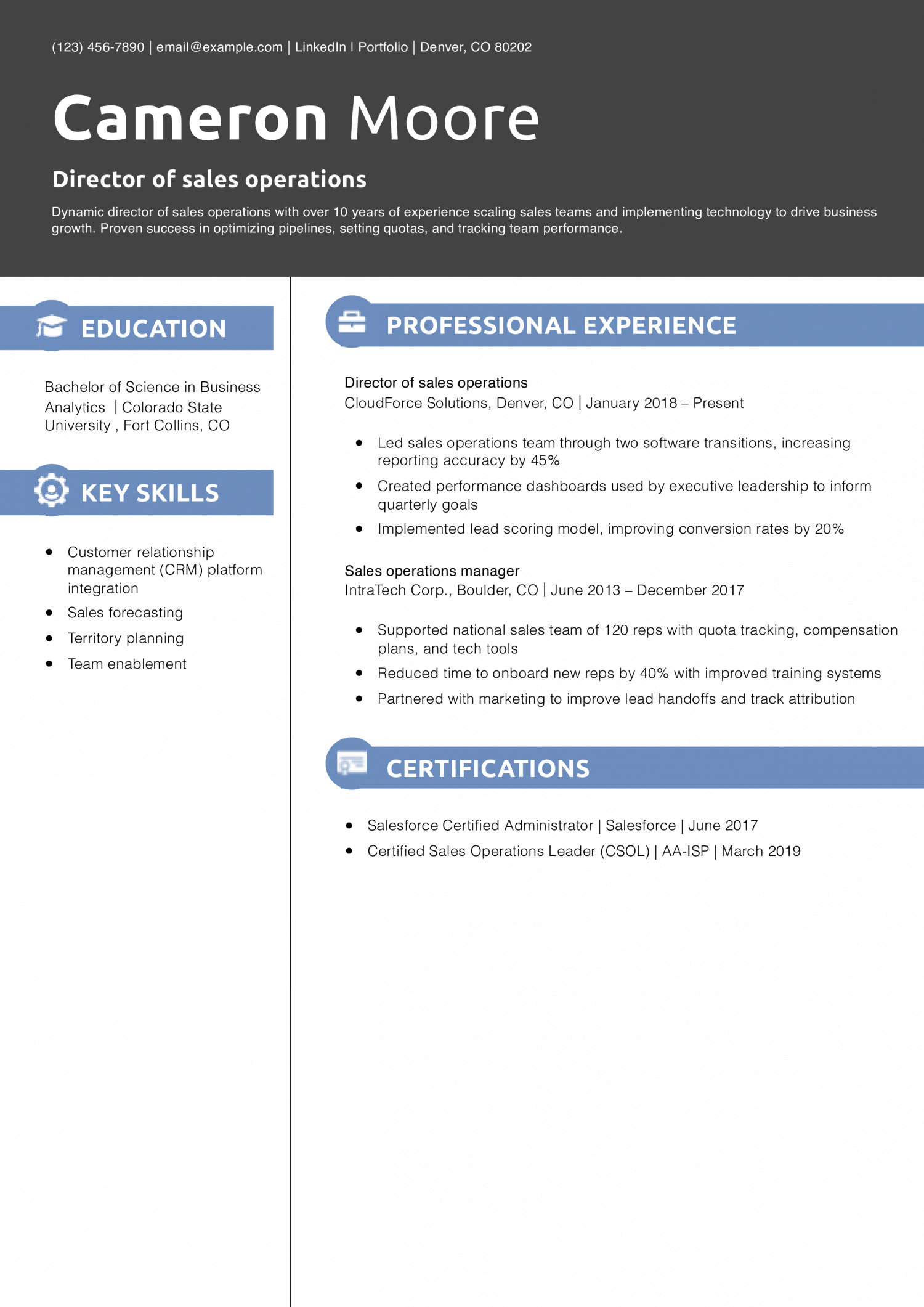 Director of sales operations resume example 