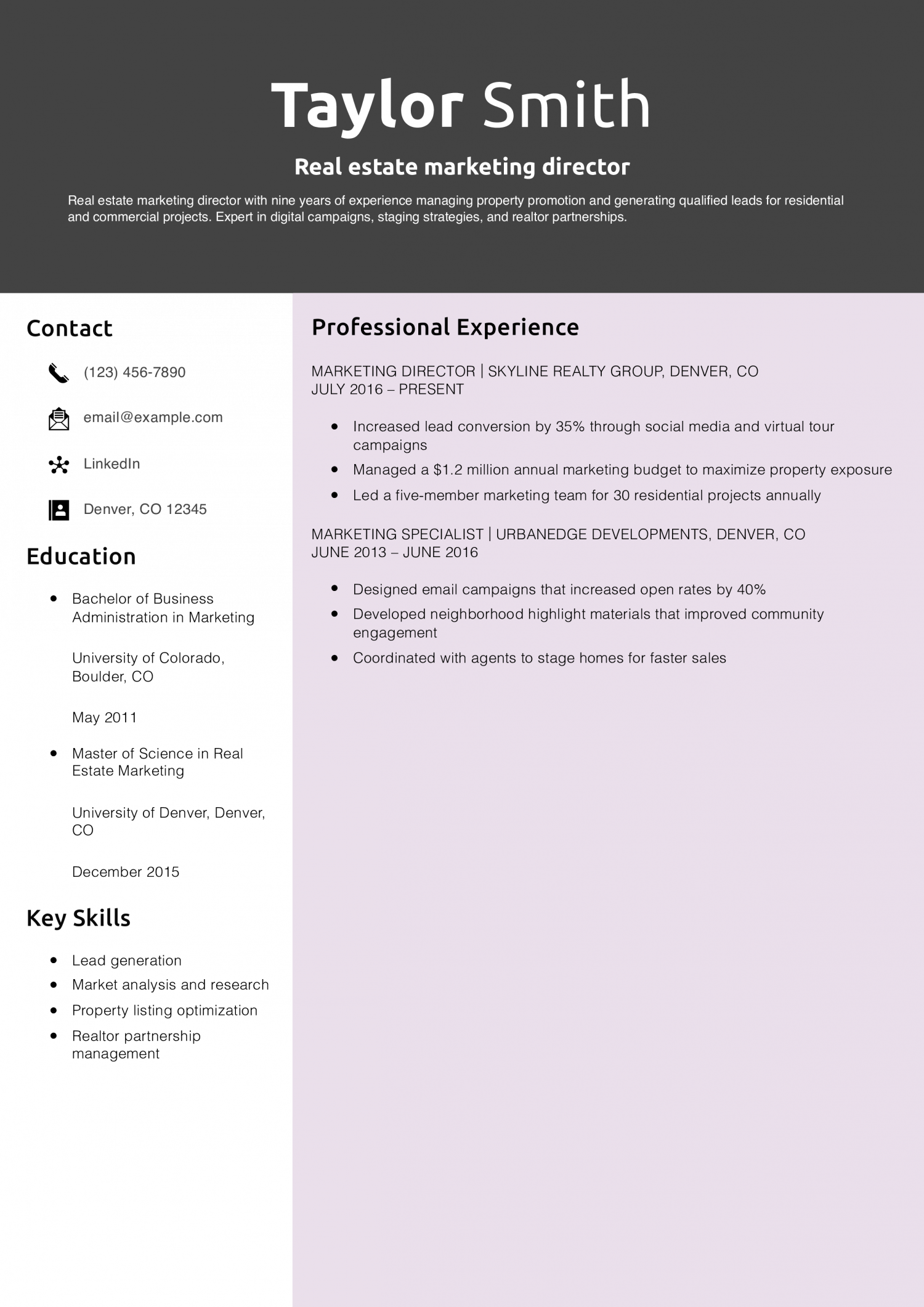 Real estate marketing director resume example