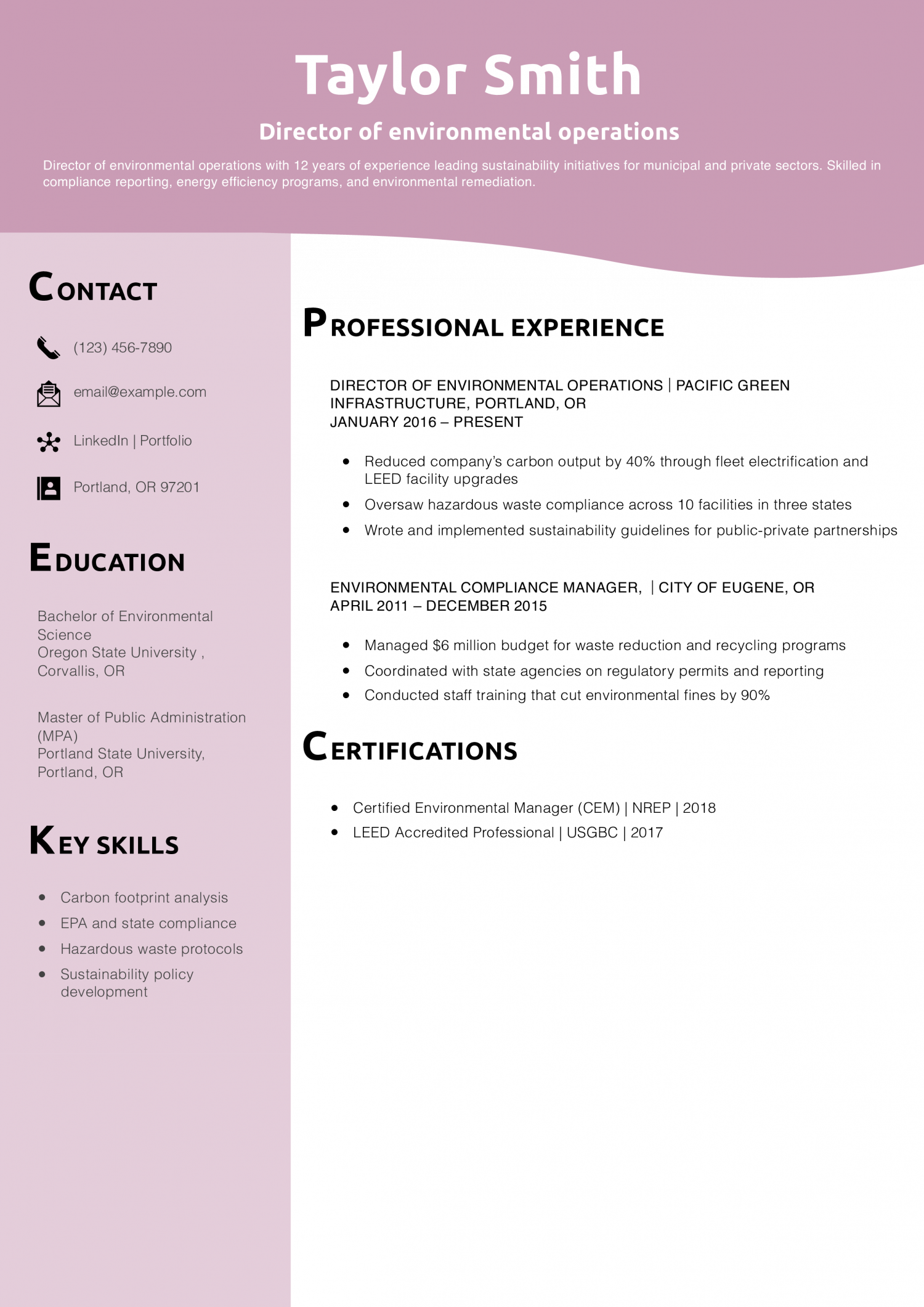 Director of environmental operations resume example