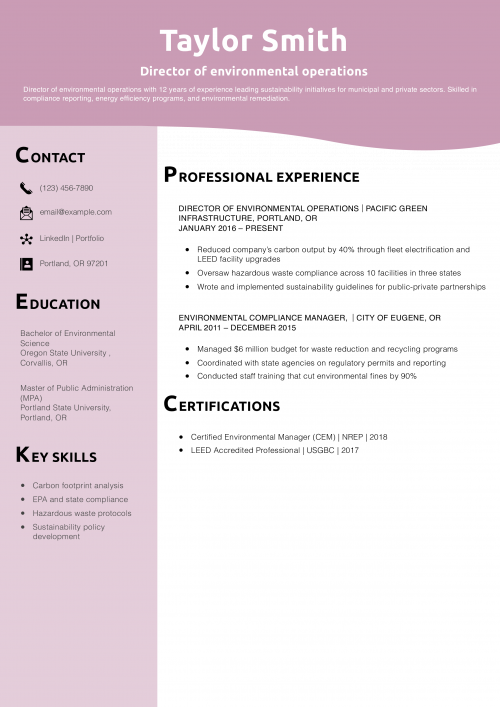 Director of environmental operations resume example