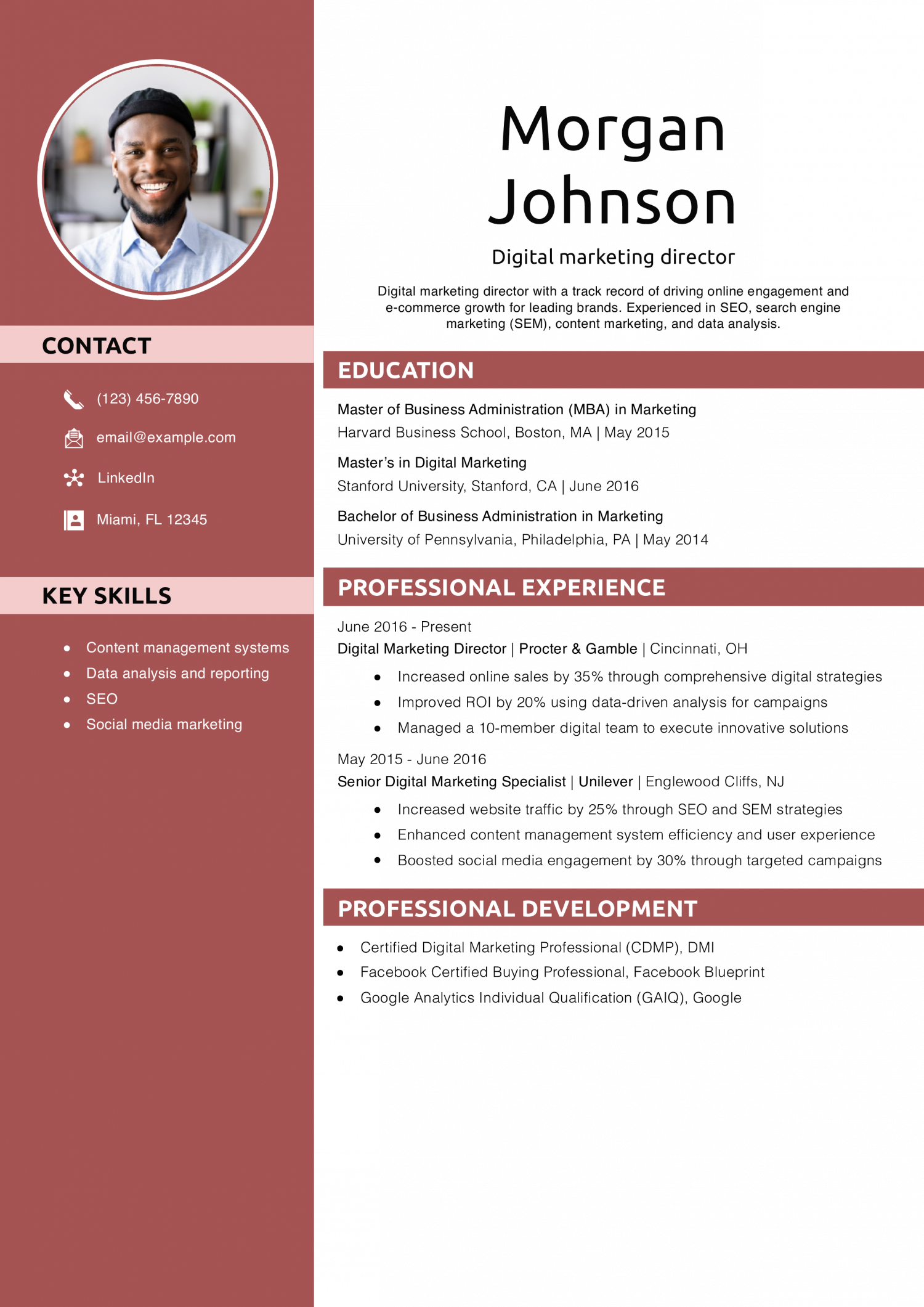Digital marketing director resume example
