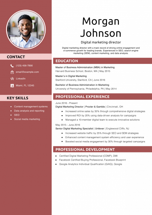 Digital marketing director resume example