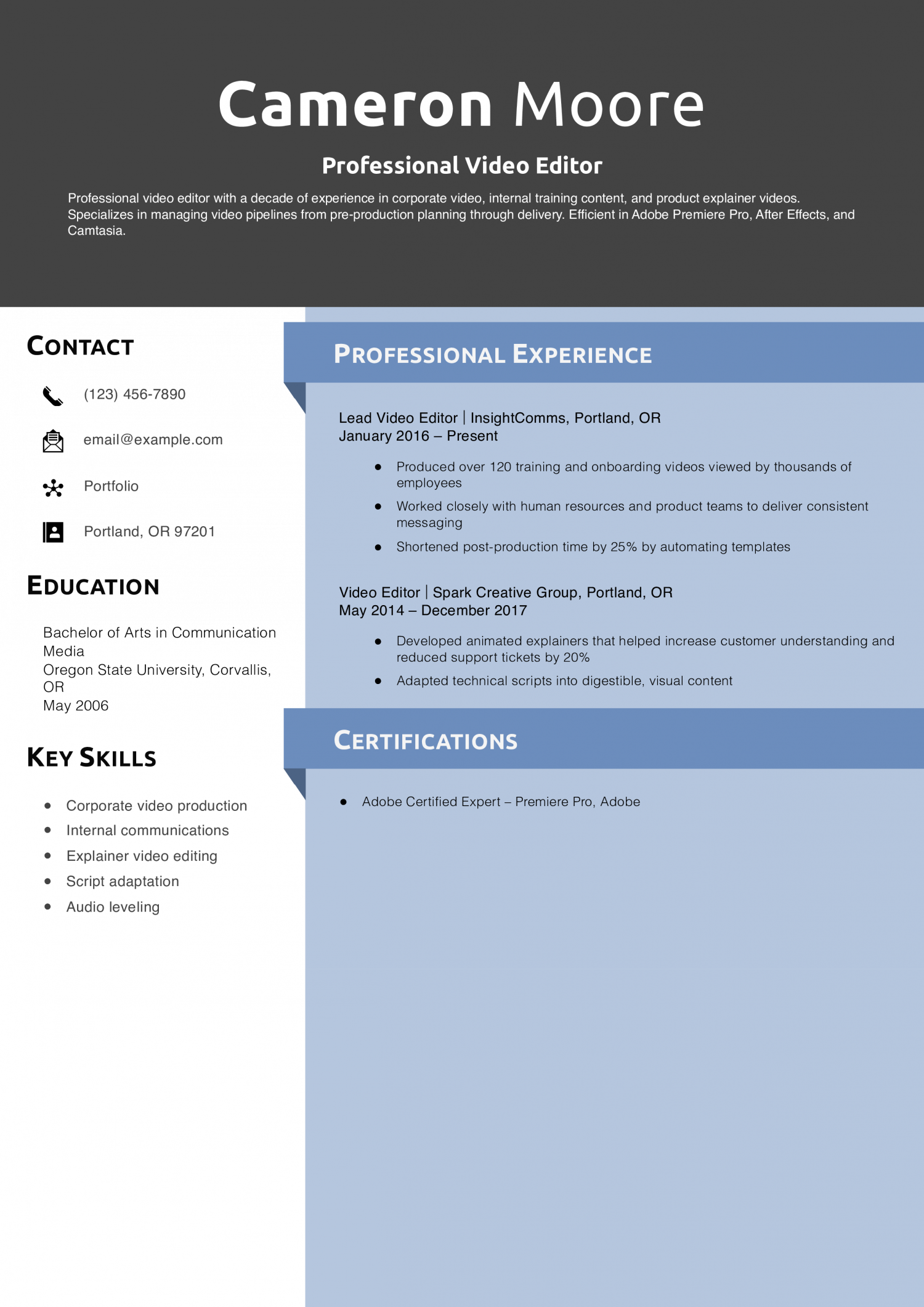 Professional Video Editor Resume Example