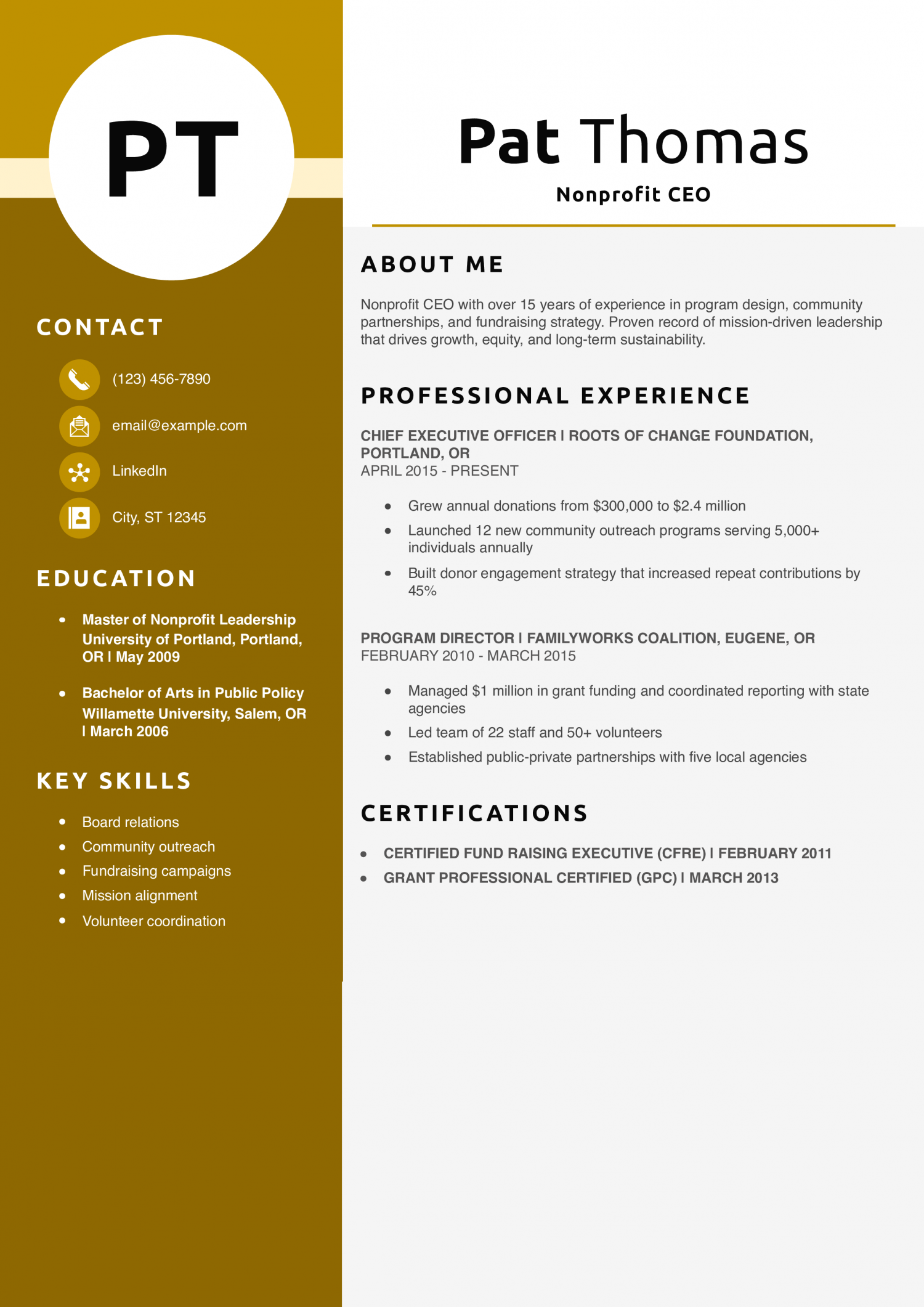 Nonprofit CEO resume