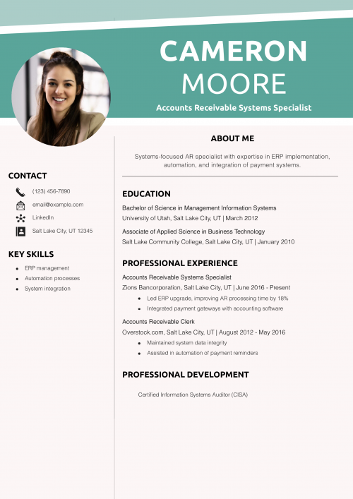Accounts Receivable Systems Specialist Resume Example