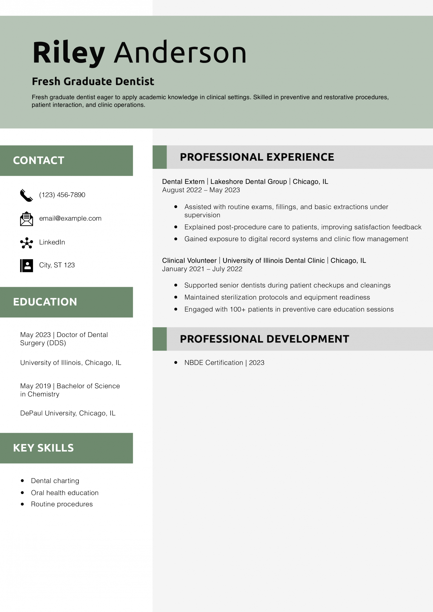 Fresh Graduate Dentist Resume Example