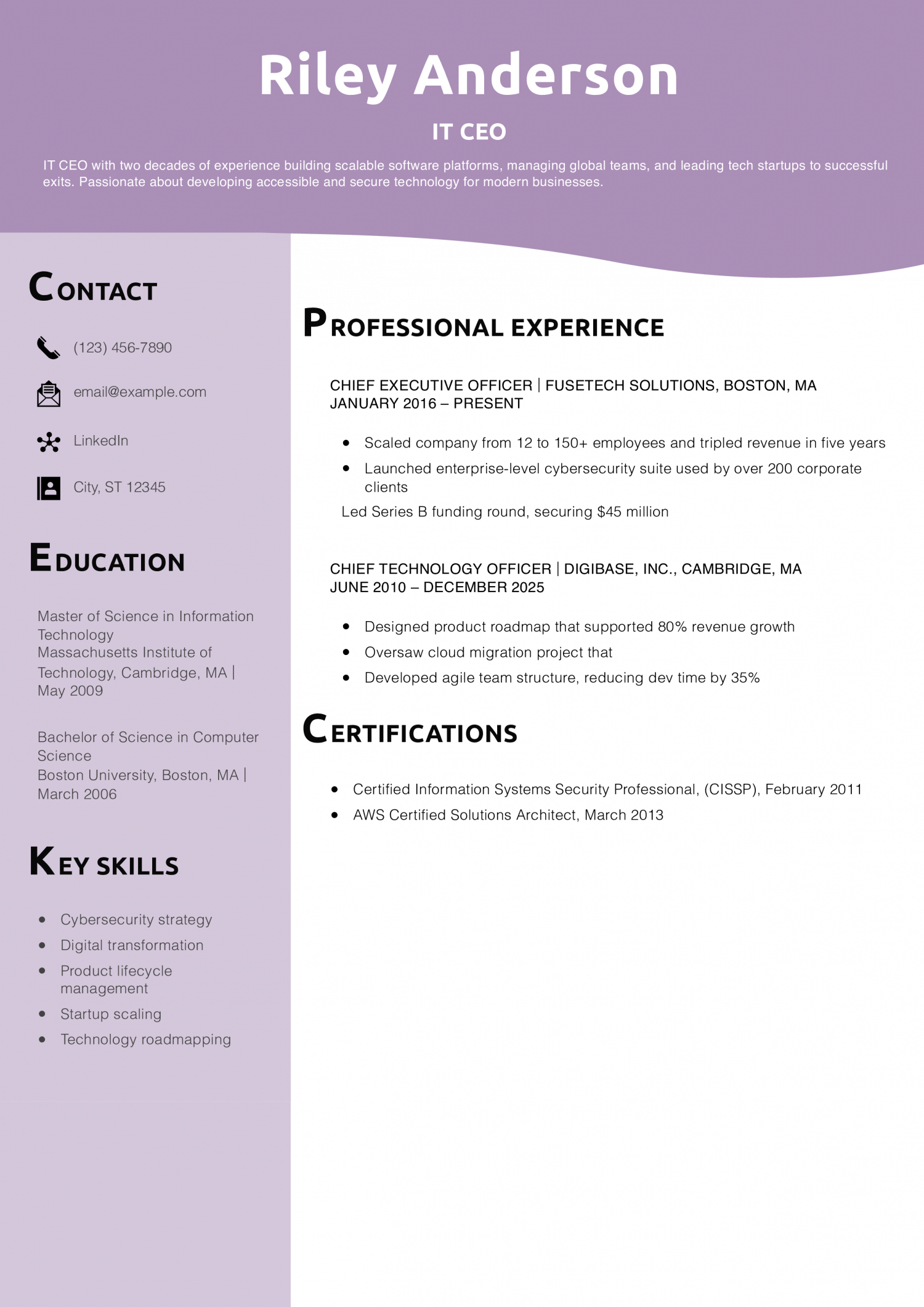 IT CEO resume