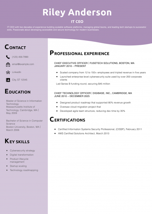 IT CEO resume