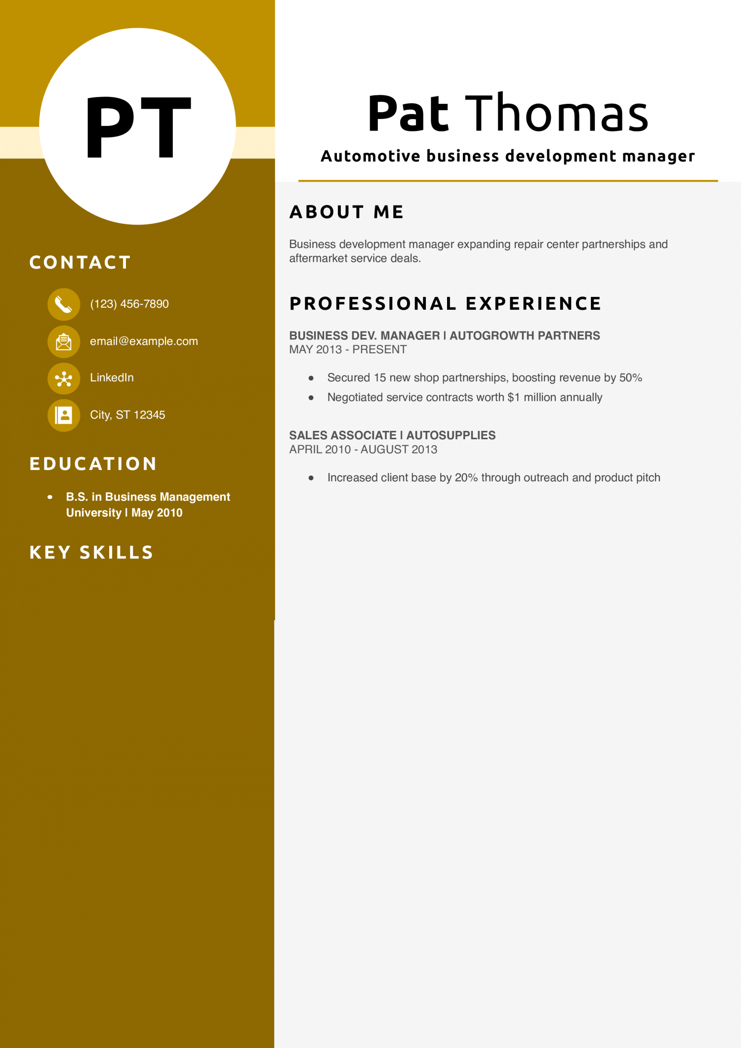 Automotive business development manager resume example