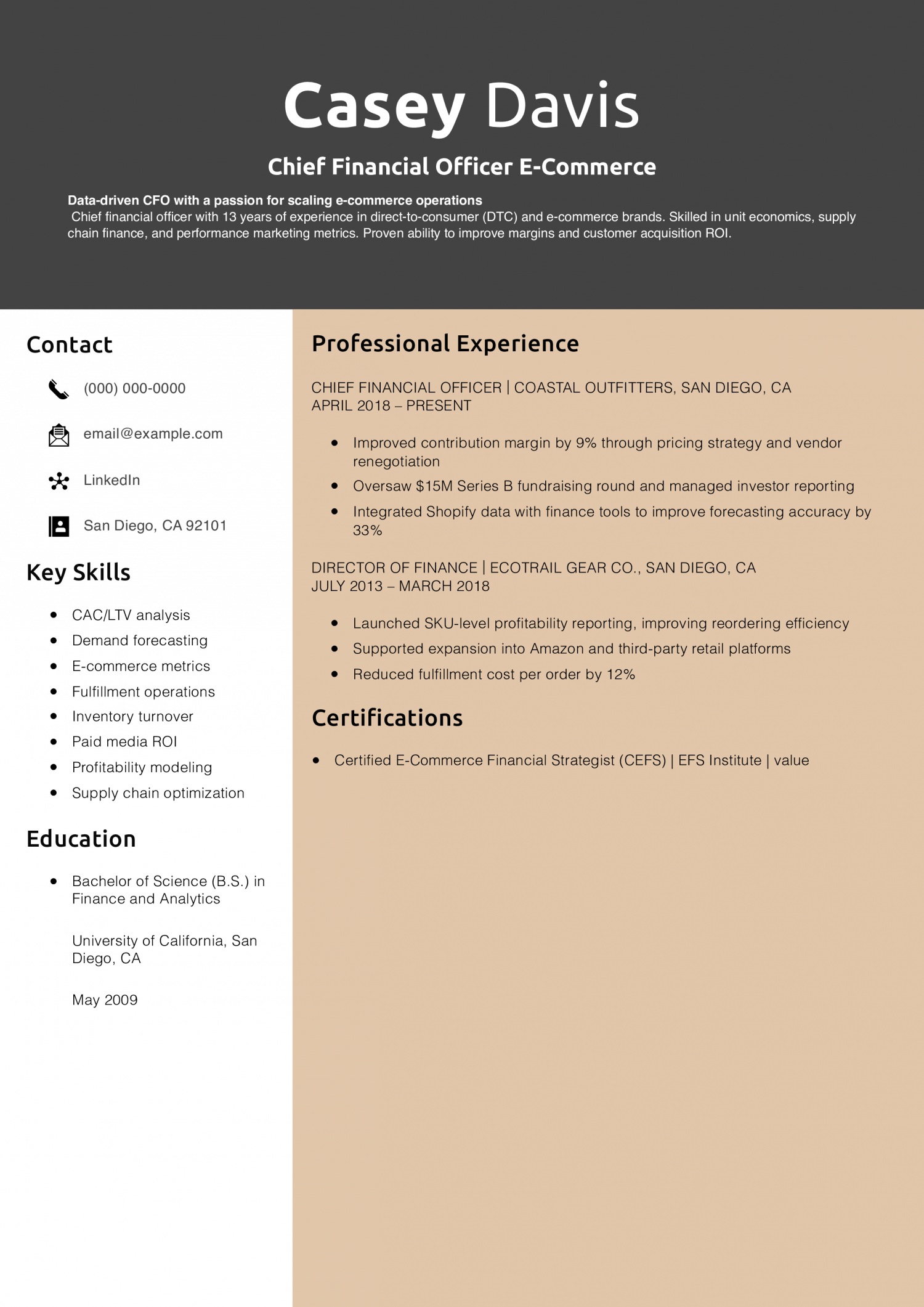 Chief Financial Officer E-Commerce Resume