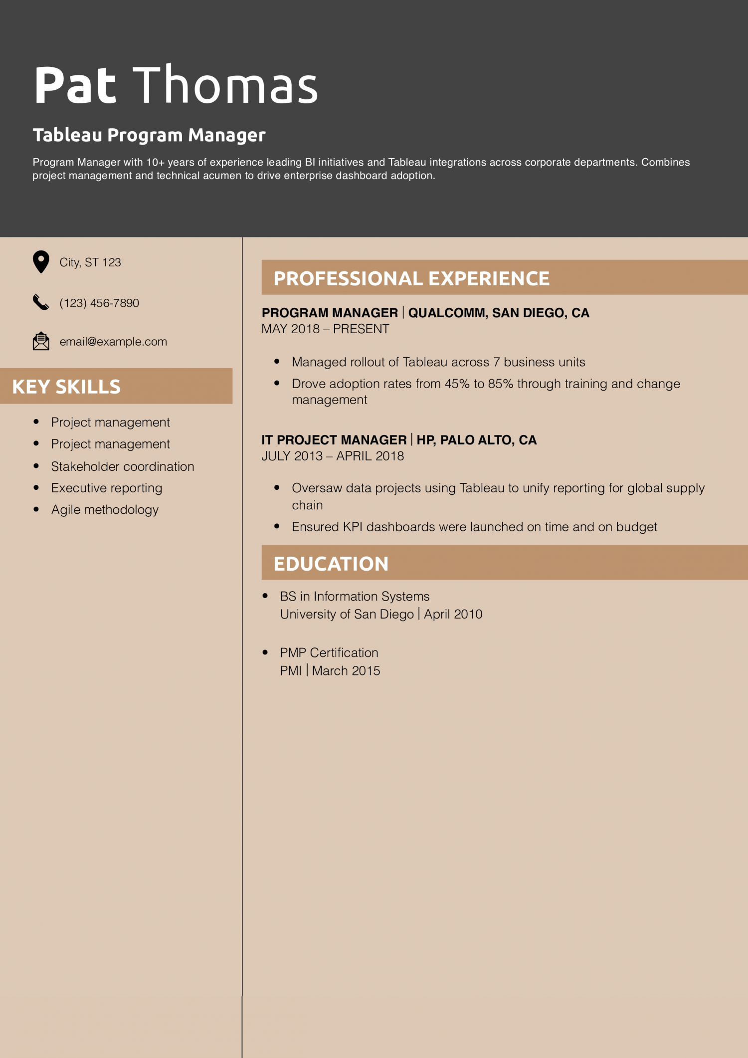 Tableau Program Manager Resume Example