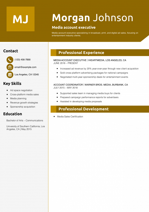 Media account executive resume example