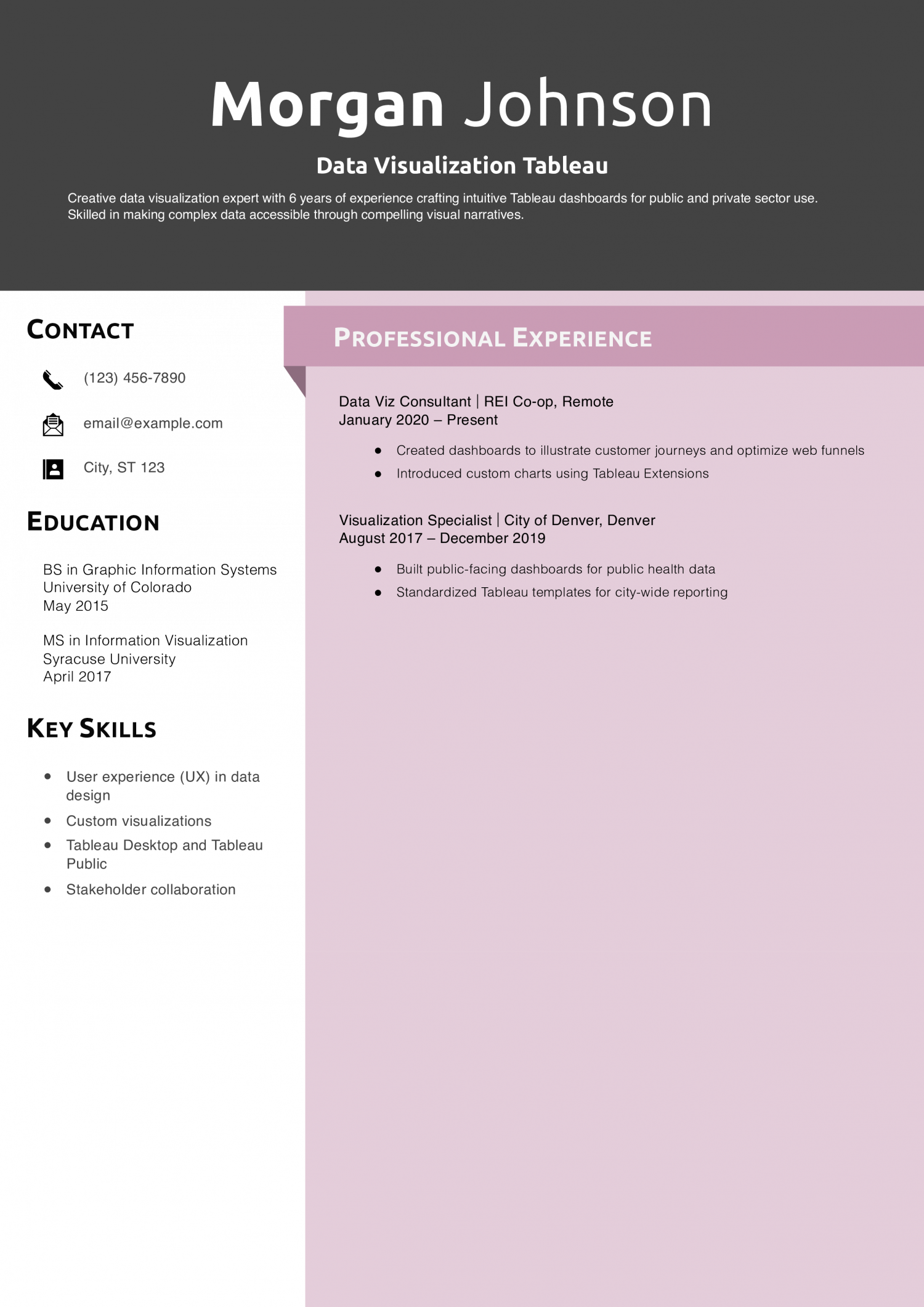 Data Visualization Tableau Resume Example
