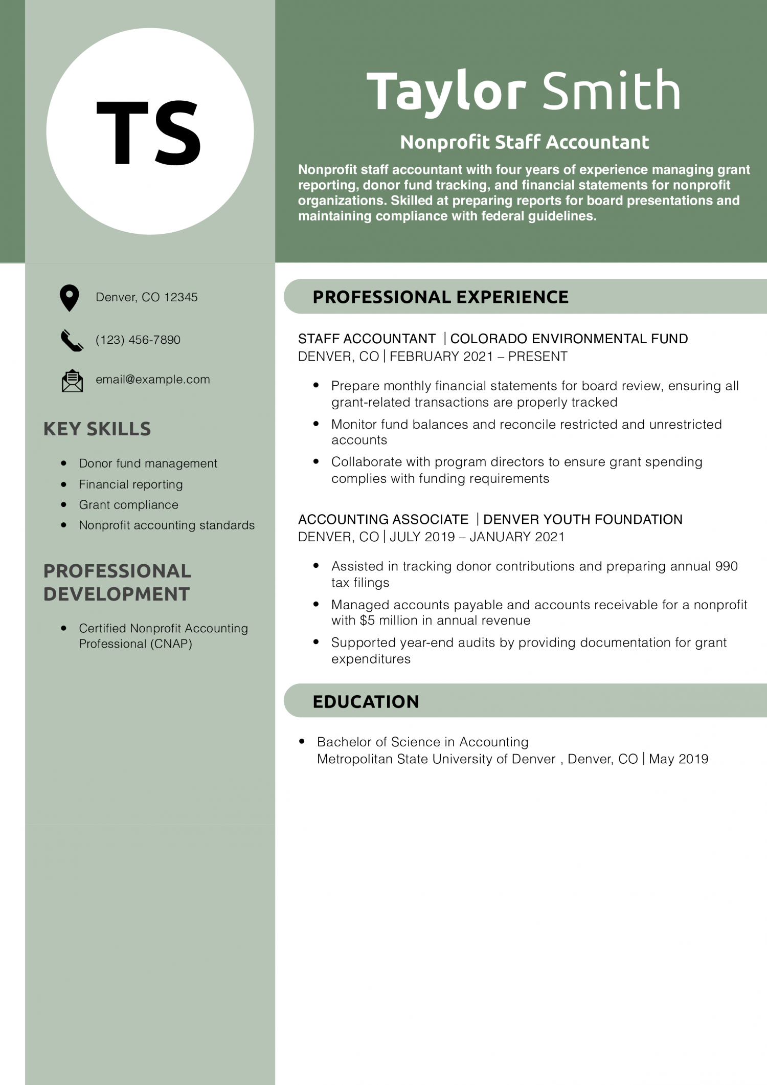 Nonprofit Staff Accountant Resume Example
