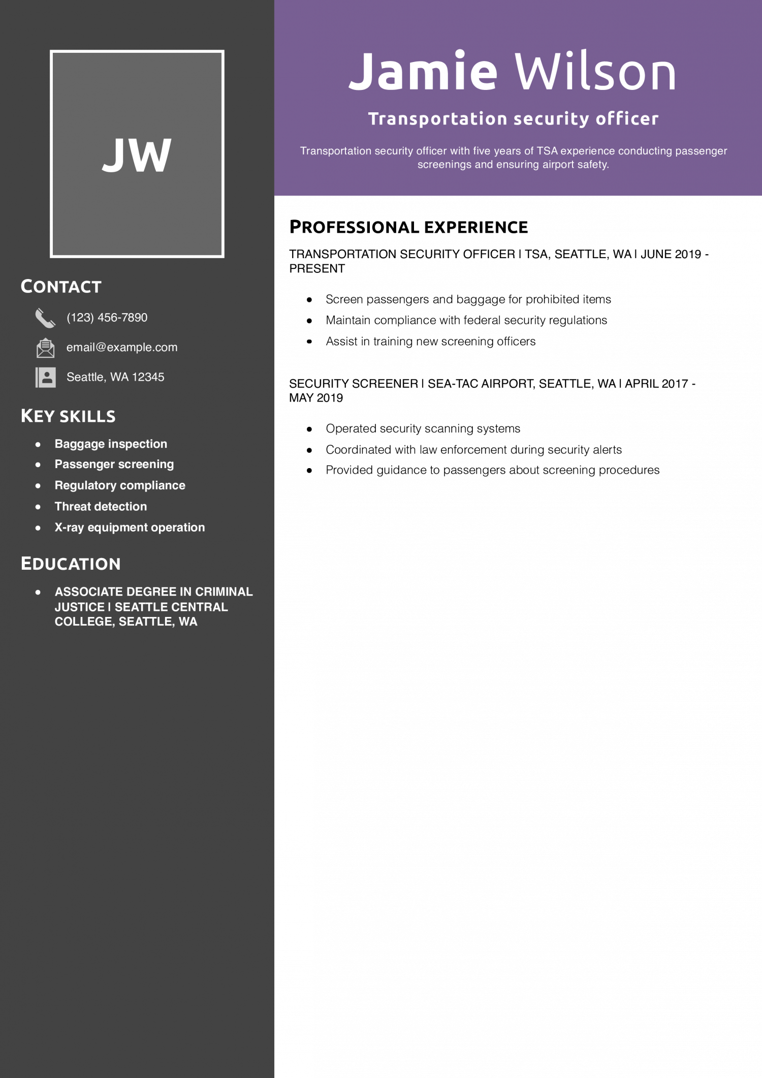 Transportation security officer resume example