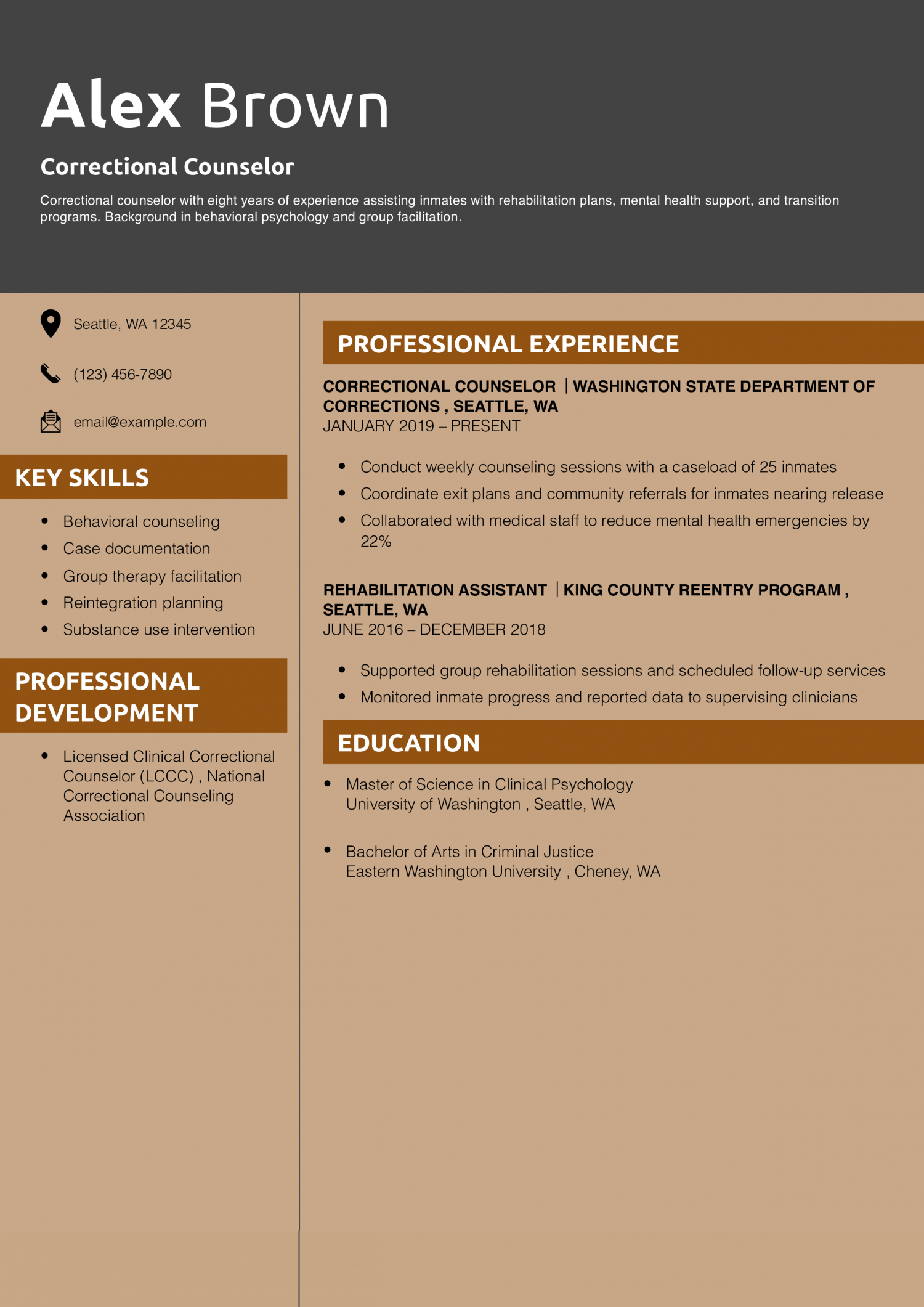 Correctional Counselor Resume Example 