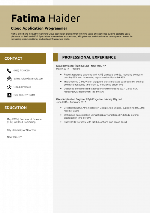Cloud Application Programmer Resume Example