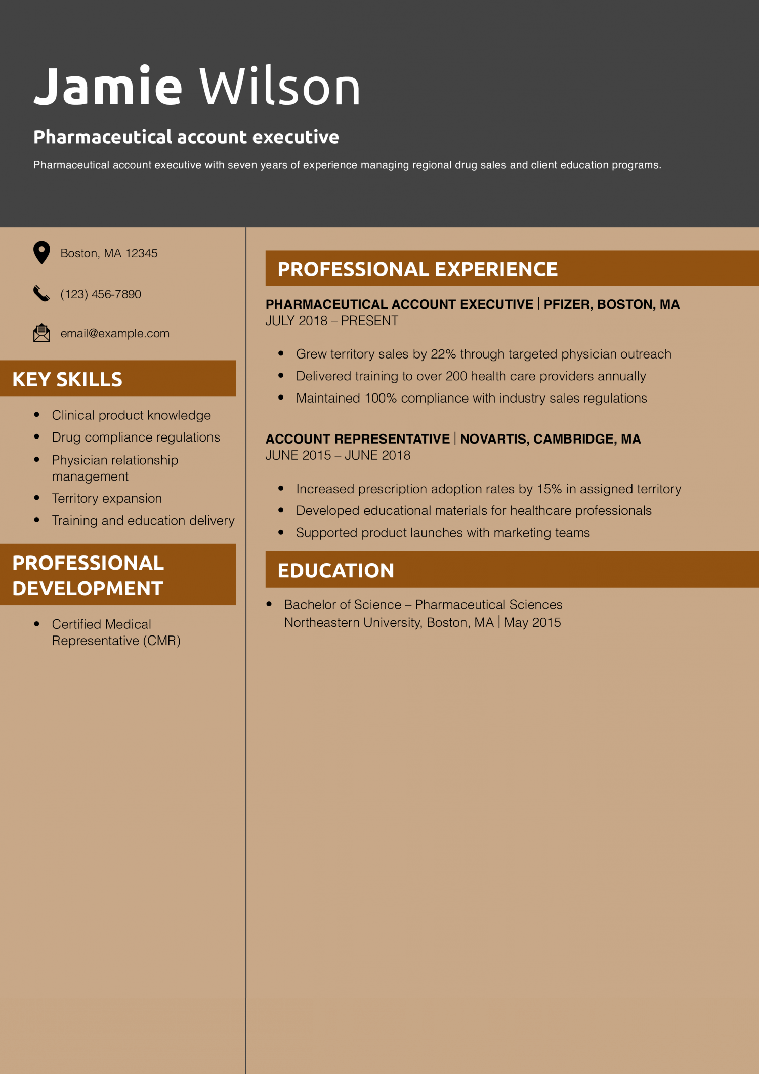 Pharmaceutical account executive resume example