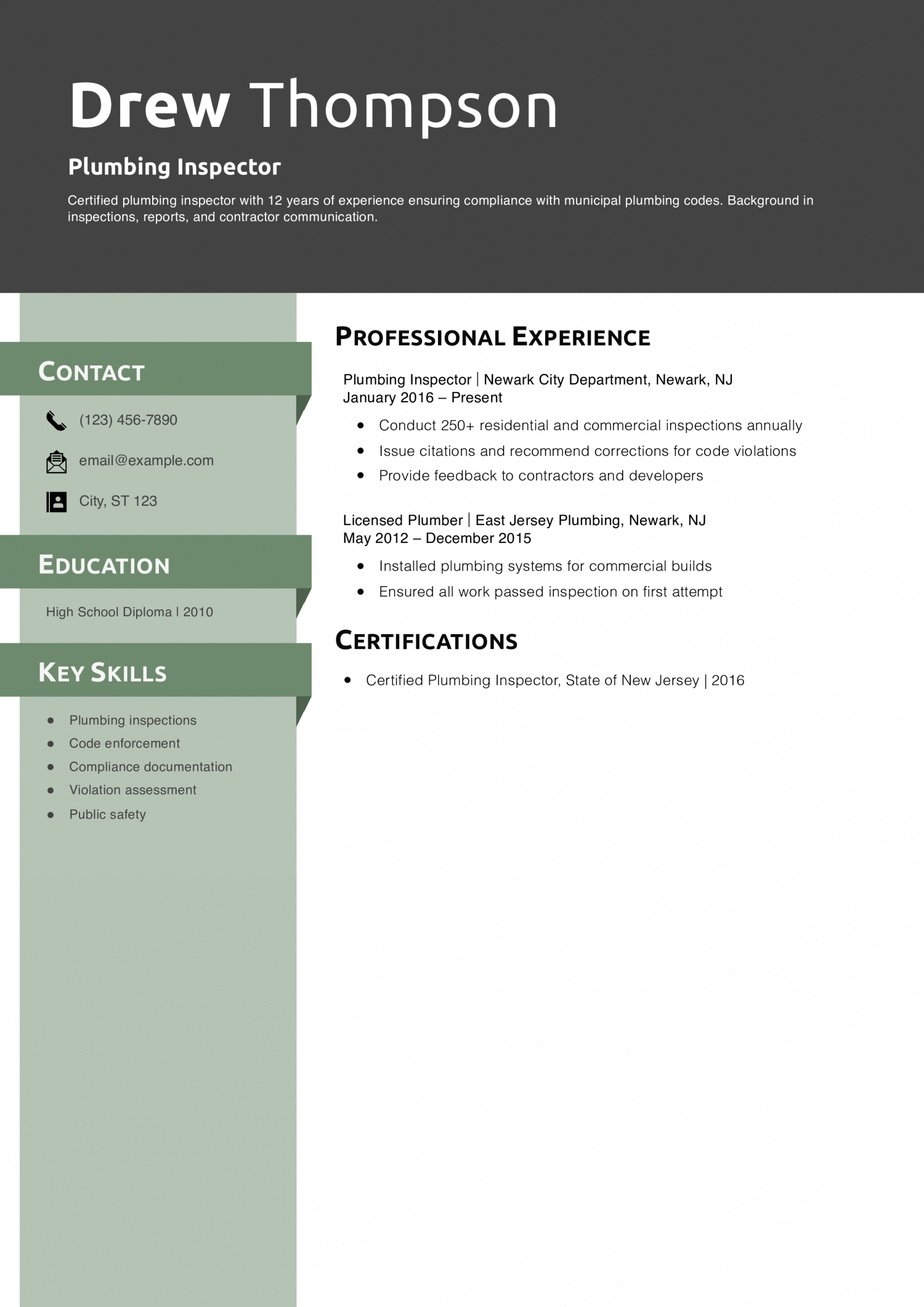 Plumbing Inspector Resume Example